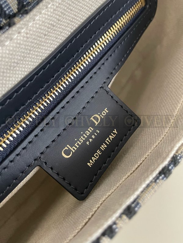 디올 오블리크 스몰 CD 베사체 백