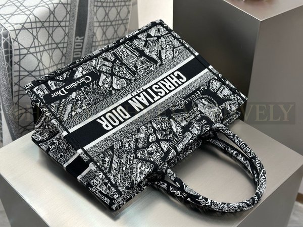 디올 플랜 드 파리 네이비 자수 북 토트백 미디움