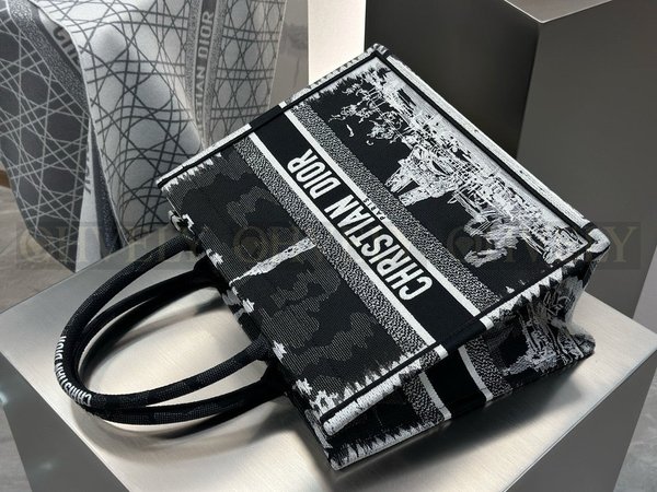 디올 파리 자수 북 토트백 미디움