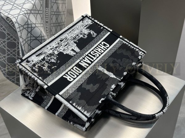 디올 파리 자수 북 토트백 미디움