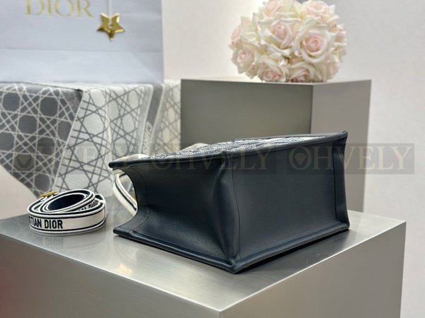 디올 트왈 드 주이 북 토트 스트랩백 스몰