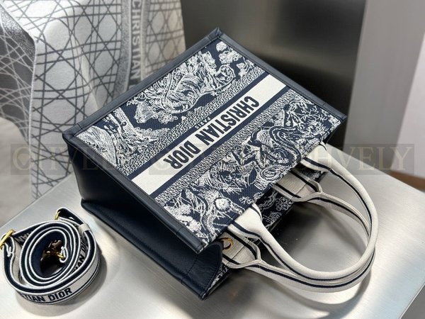 디올 트왈 드 주이 북 토트 스트랩백 스몰