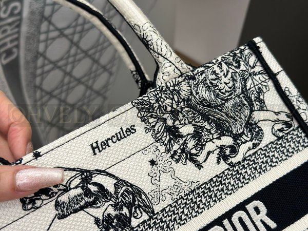 디올 조디악 자수  북 토트백 스몰