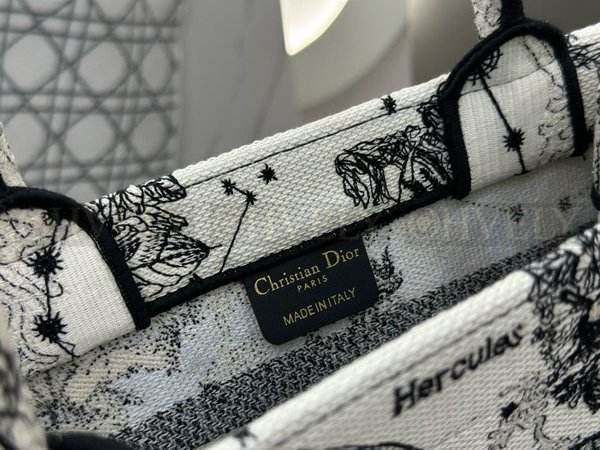 디올 조디악 자수  북 토트백 스몰