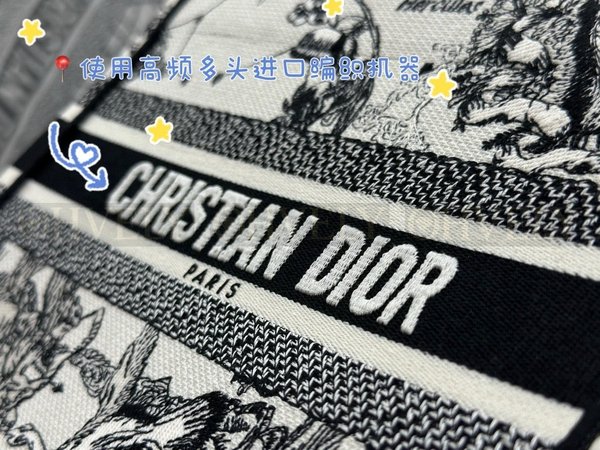 디올 조디악 자수  북 토트백 스몰