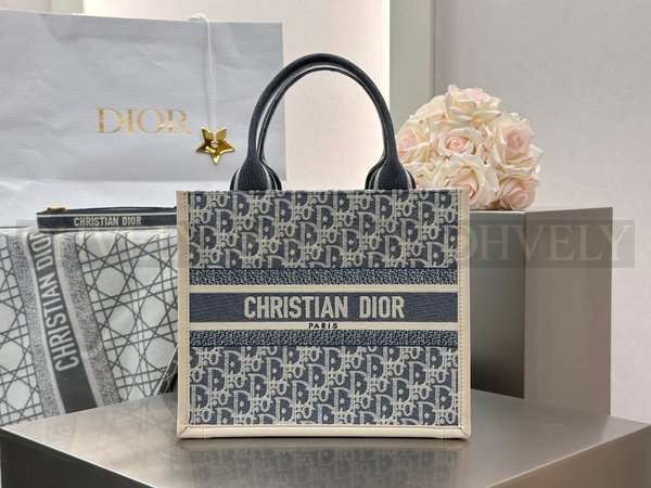 디올 오블리크 샴브레이 북 토트백 스몰