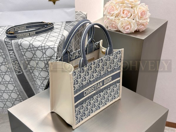 디올 오블리크 샴브레이 북 토트백 스몰