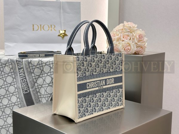 디올 오블리크 샴브레이 북 토트백 스몰