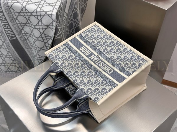 디올 오블리크 샴브레이 북 토트백 스몰