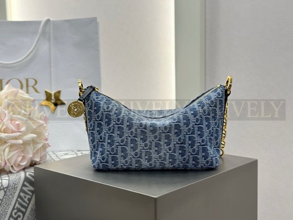 디올 데님 오블리크 스타 체인 호보백