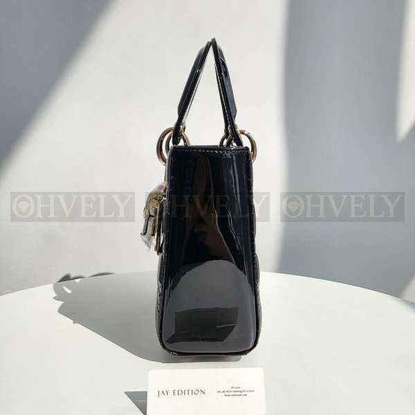 디올 페이던트 레이디백 스몰