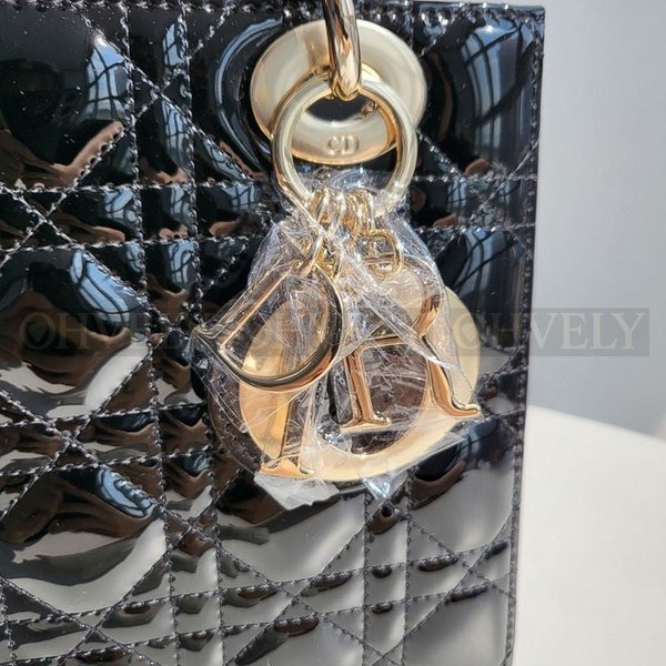 디올 페이던트 레이디백 스몰