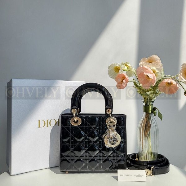 디올 페이던트 레이디백 스몰