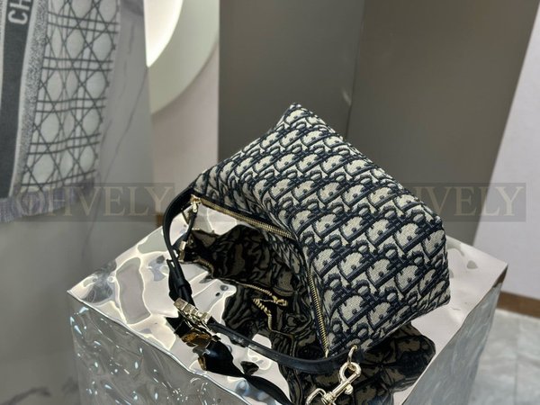 디올 트래블 노마드 미디엄 파우치