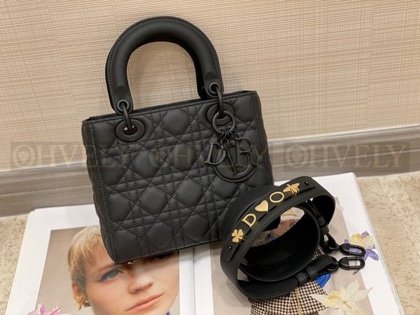 디올 울트라 매트 레이디백 스몰