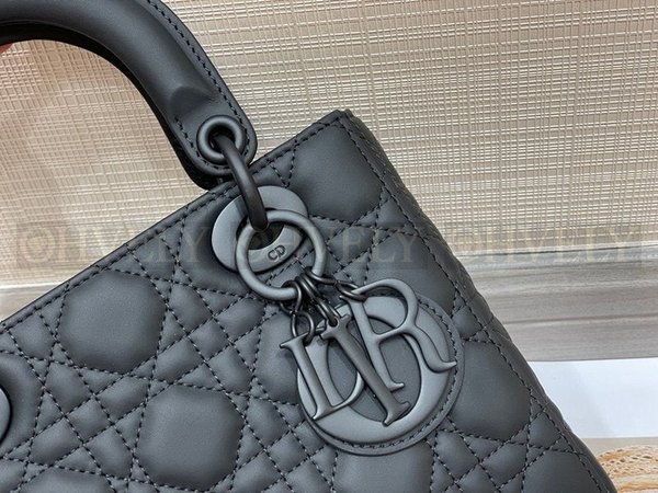 디올 울트라 매트 레이디백 스몰