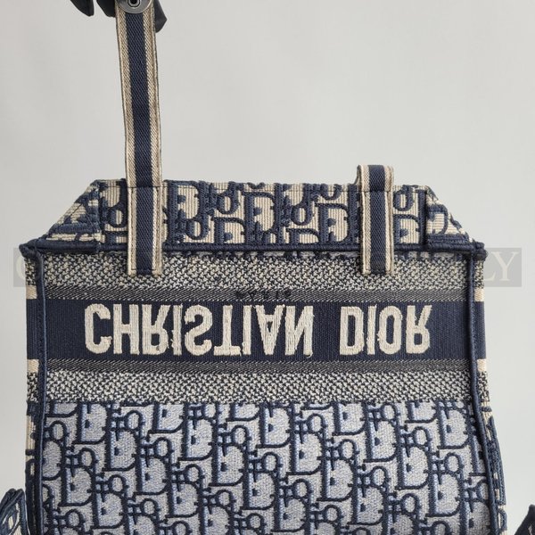 디올 오블리크 캠프백 미디움