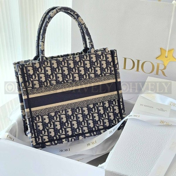 디올 오블리크 자수 북 토트백 스몰