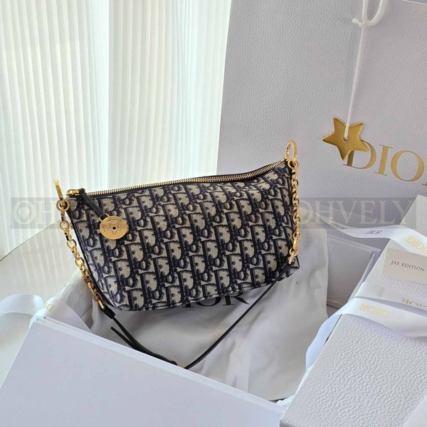 디올 오블리크 스타 체인 호보백