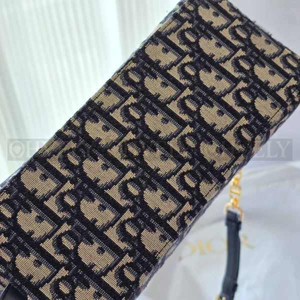 디올 오블리크 스타 체인 호보백