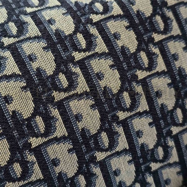 디올 오블리크 스타 체인 호보백