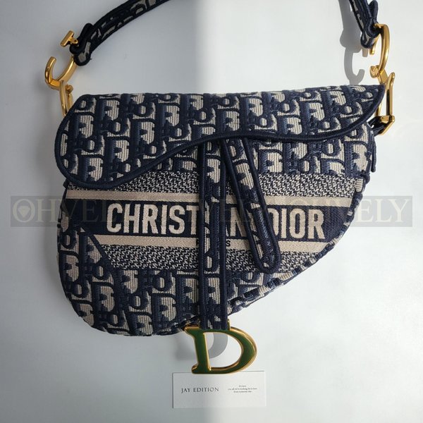 디올 오블리크 새들백