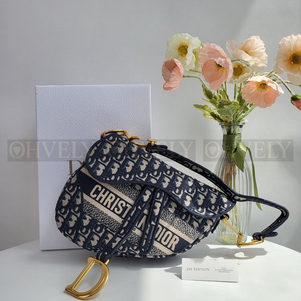 디올 오블리크 새들백