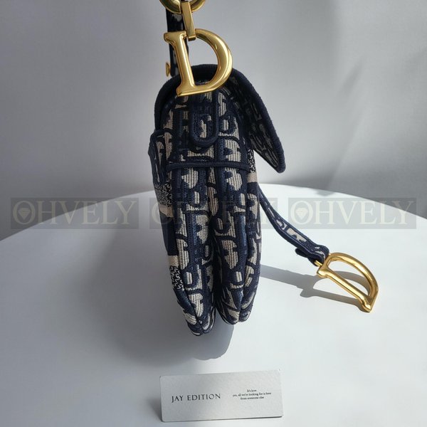 디올 오블리크 새들백