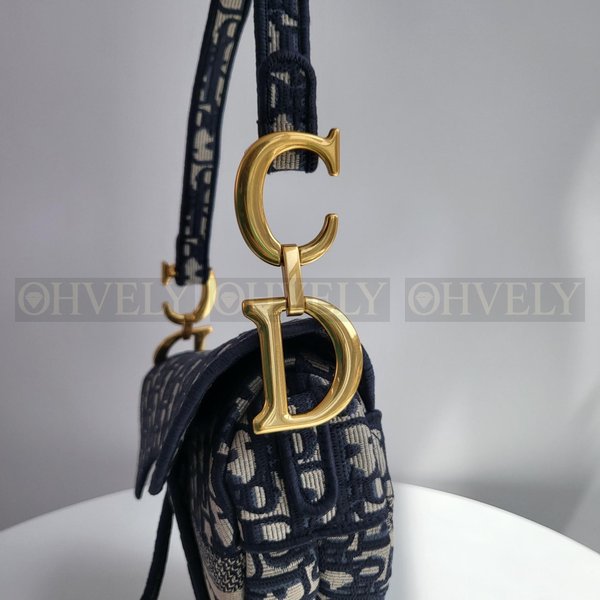 디올 오블리크 새들백