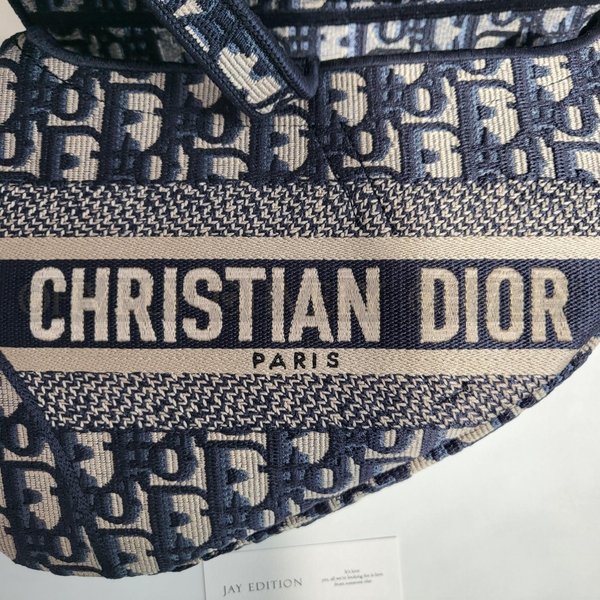 디올 오블리크 새들백