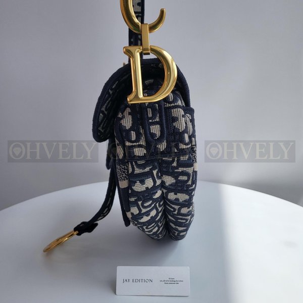 디올 오블리크 새들백