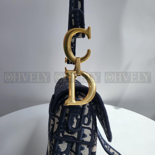 디올 오블리크 새들백