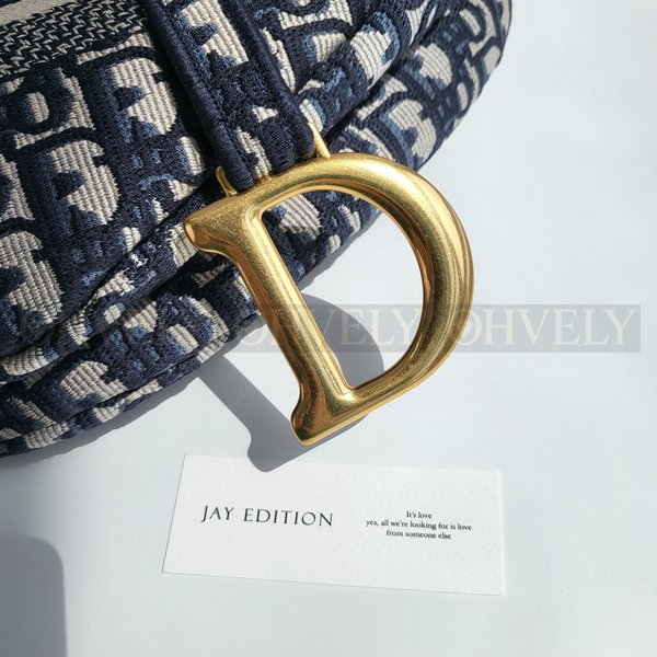 디올 오블리크 새들백