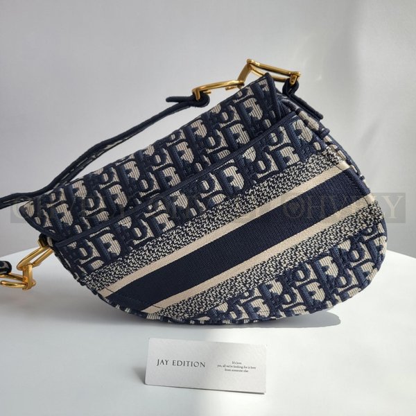 디올 오블리크 새들백