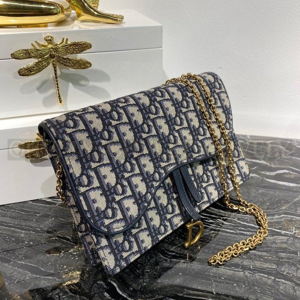 디올 오블리크 새들 woc