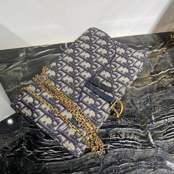 디올 오블리크 새들 woc