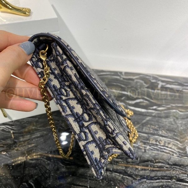 디올 오블리크 새들 woc