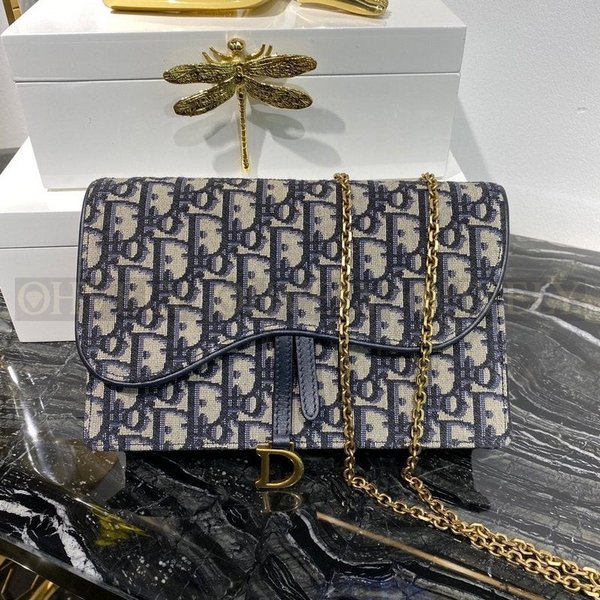 디올 오블리크 새들 woc