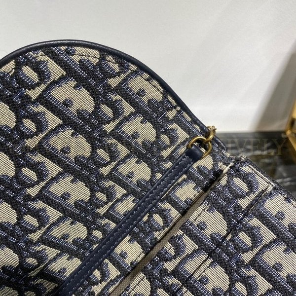 디올 오블리크 새들 woc