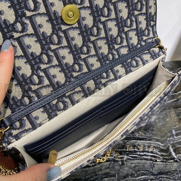 디올 오블리크 새들 woc