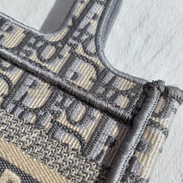 디올 오블리크 북토트백 미니