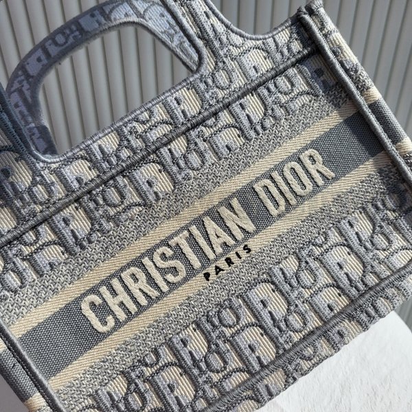 디올 오블리크 북토트백 미니