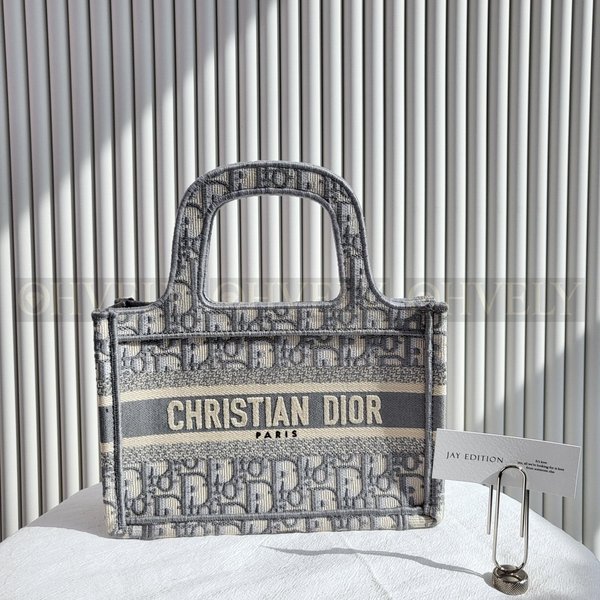 디올 오블리크 북토트백 미니