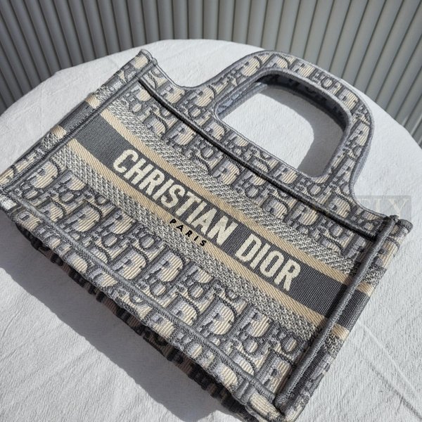 디올 오블리크 북토트백 미니