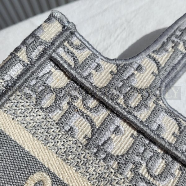 디올 오블리크 북토트백 미니