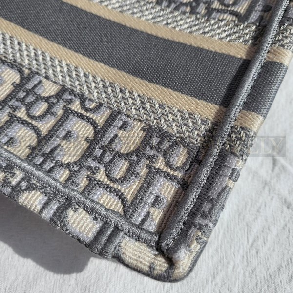 디올 오블리크 북토트백 미니