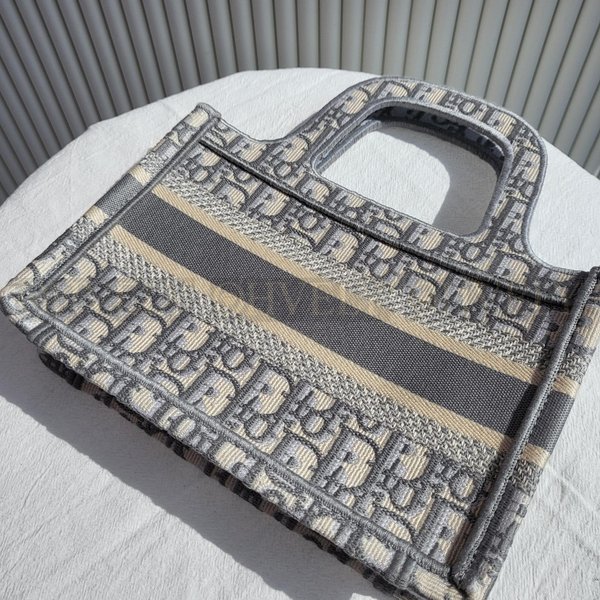 디올 오블리크 북토트백 미니