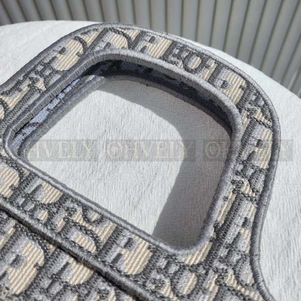 디올 오블리크 북토트백 미니