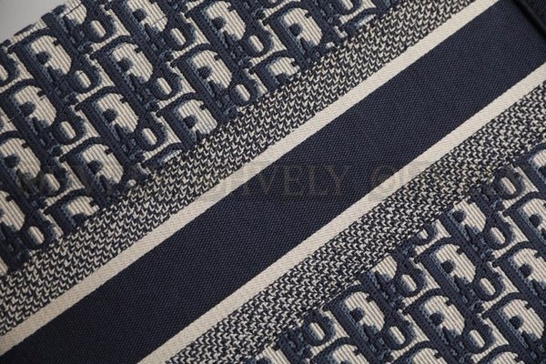 디올 오블리크 북 토트백 미디움