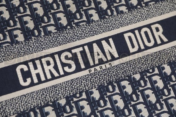 디올 오블리크 북 토트백 미디움